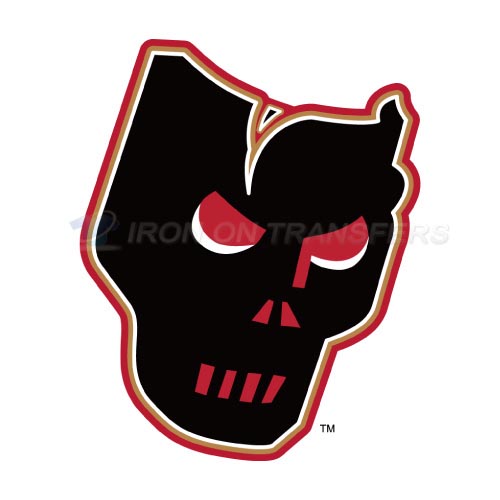 Calgary Hitmen Iron-on Stickers (Heat Transfers)NO.7493